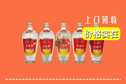 诚信求购:上街区高价回收老五粮液